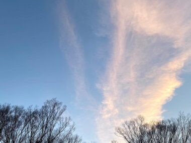 若年性認知症と打ち明け、 人とのつながりのあたたかさを 感じられた