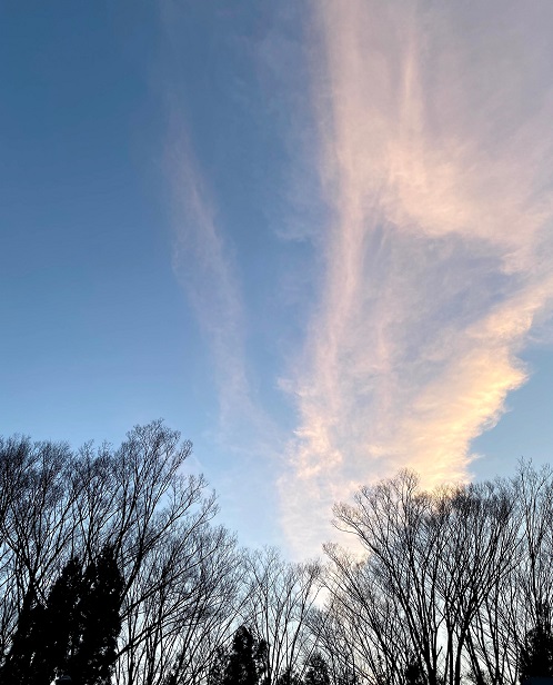 若年性認知症と打ち明け、 人とのつながりのあたたかさを 感じられた