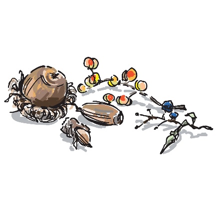 手記を通して路上生活での 経験や思いを伝えたい